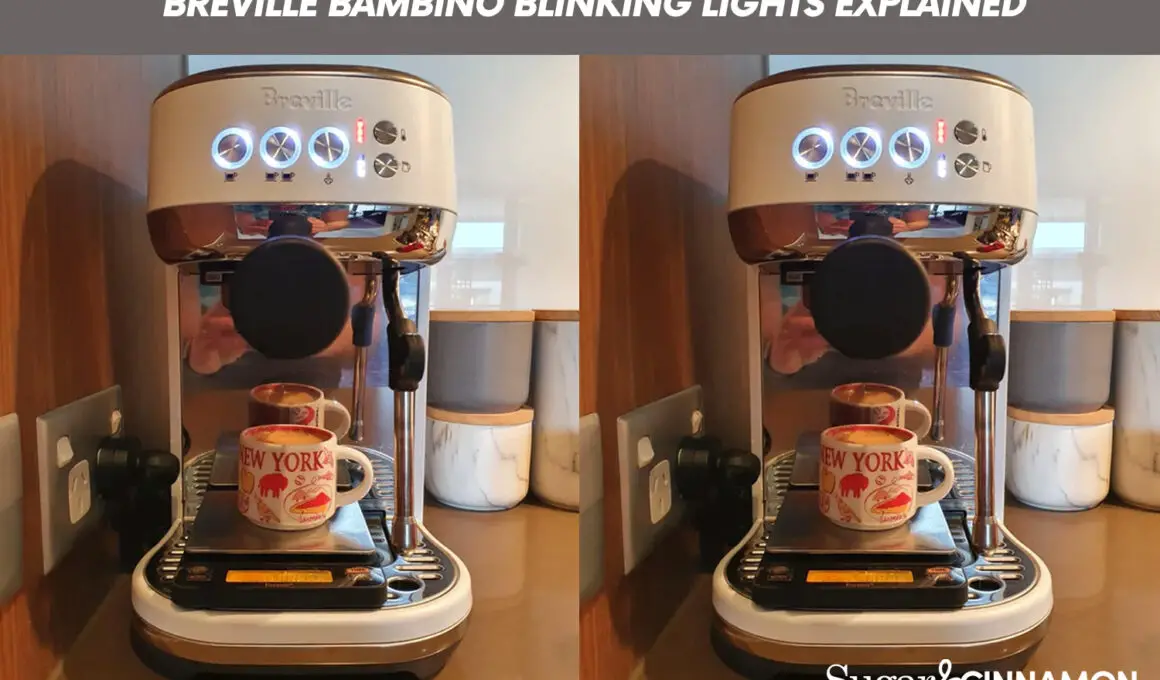 Breville Bambino Blinking Lights Explained