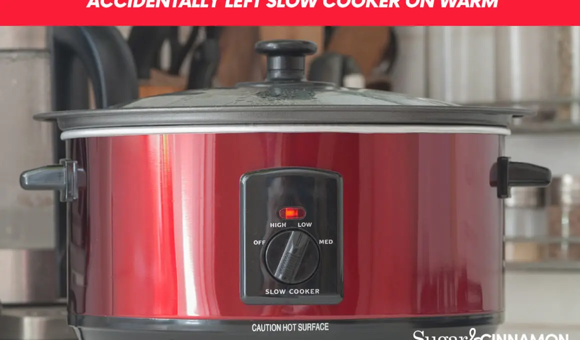 Accidentally Left Slow Cooker on Warm (What to Do)