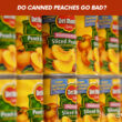 Do Canned Peaches Go Bad?