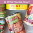 Do Canned Tomatoes Go Bad?