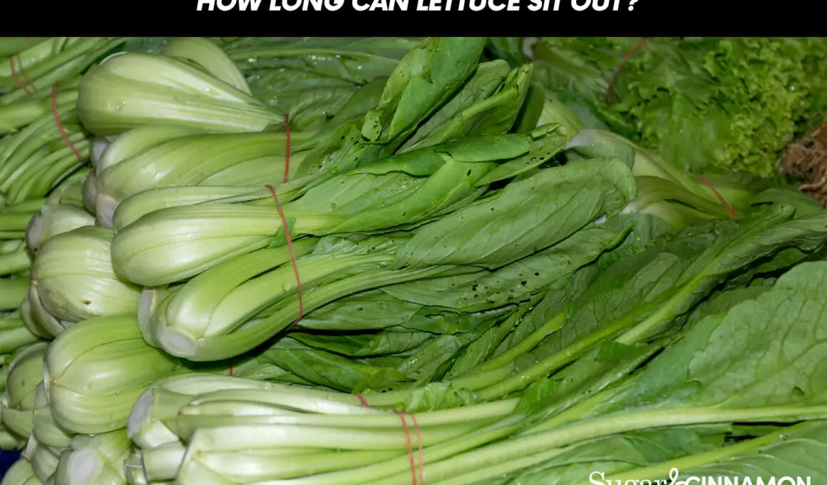 How Long Can Lettuce Sit Out?