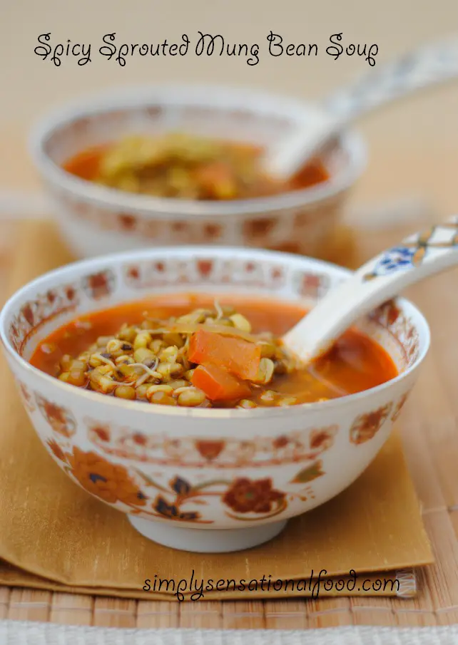 Hot and spicy sprouted mung bean soup