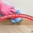 How to Get Rid Of Fly Poops On Walls