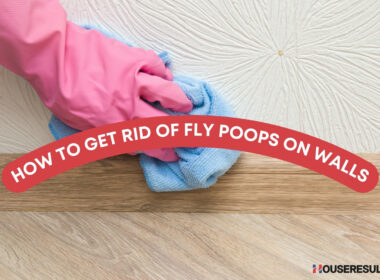 How to Get Rid Of Fly Poops On Walls