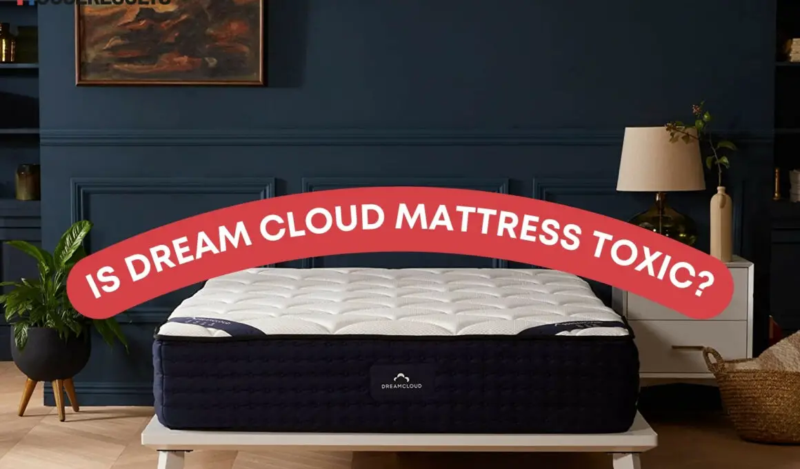Is Dream Cloud Mattress Toxic? (ANSWERED)