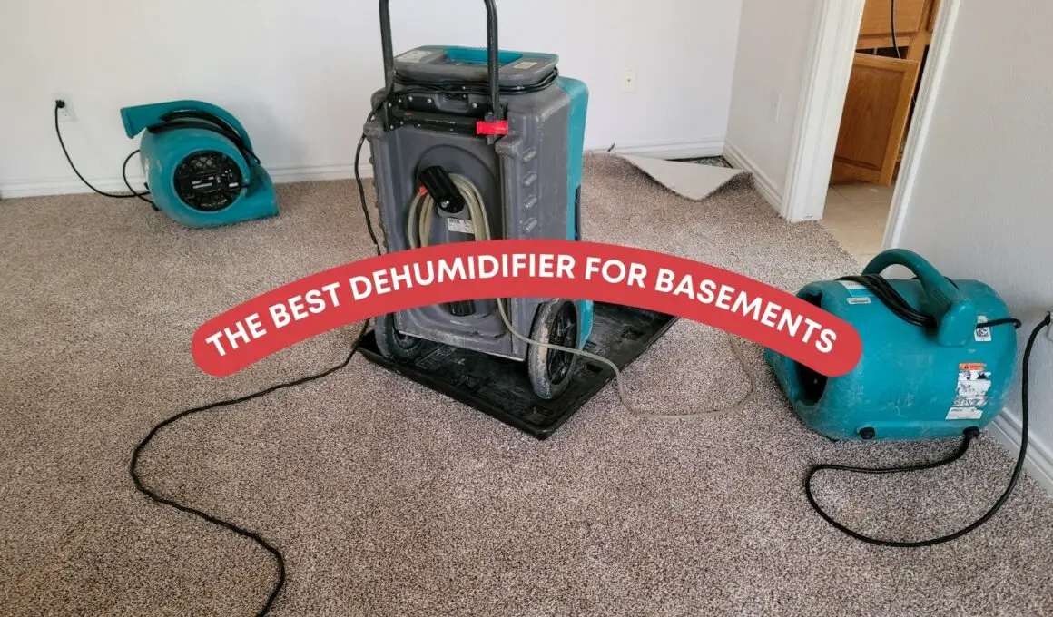 The Best Dehumidifier For Basements