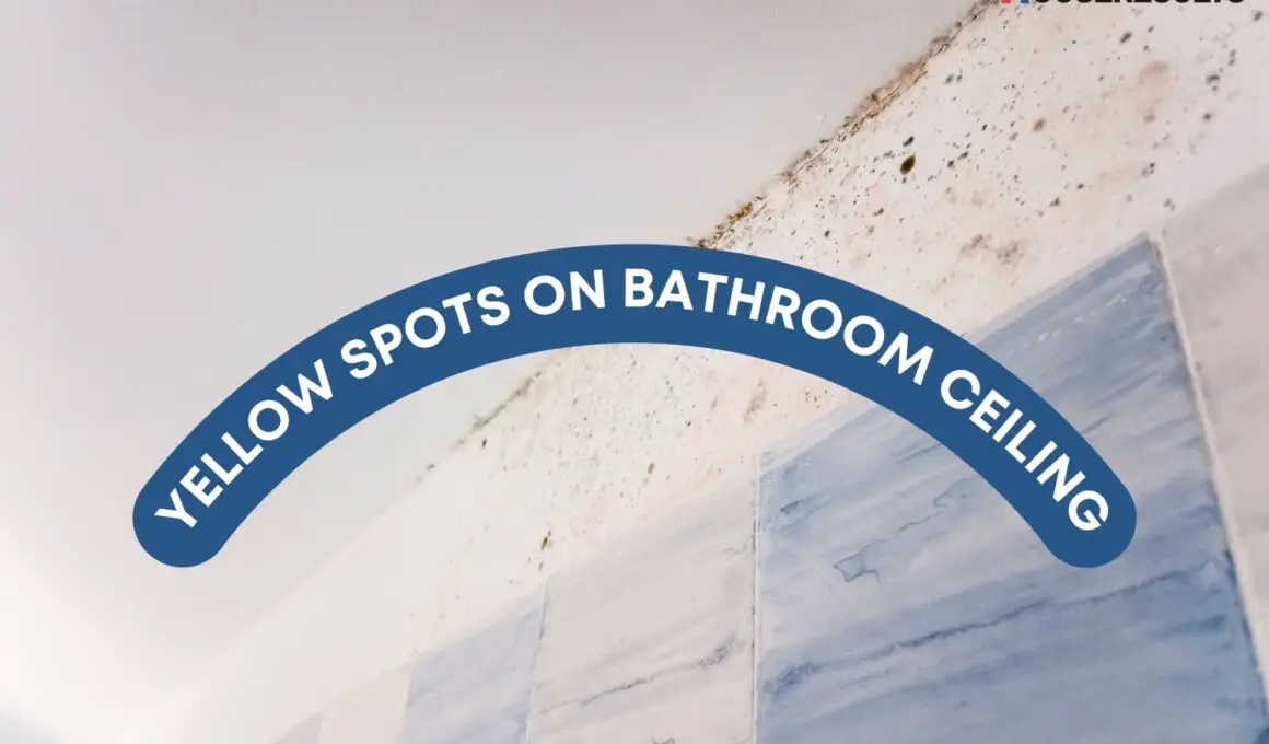 Yellow Spots On Bathroom Ceiling