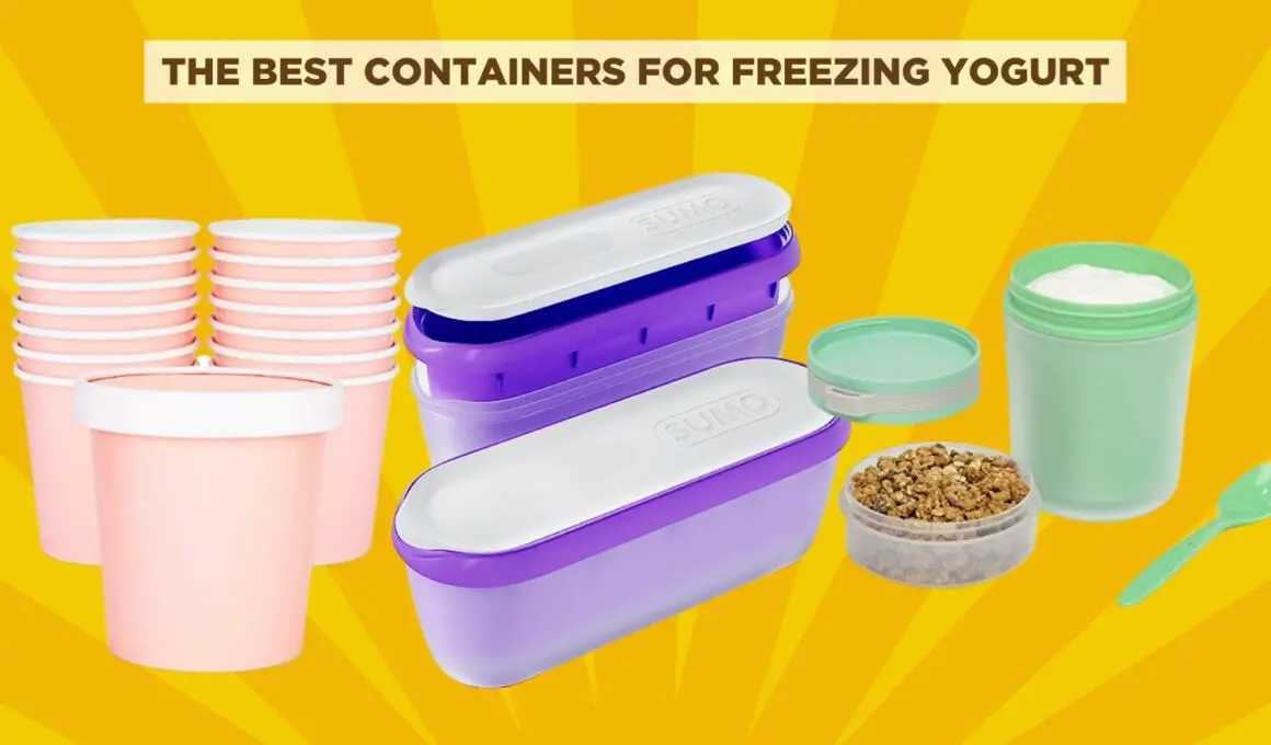 The Best Containers For Freezing Yogurt