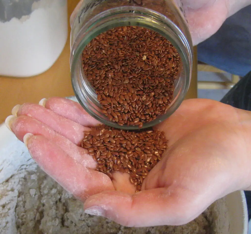 Flax Seed For Smoothie