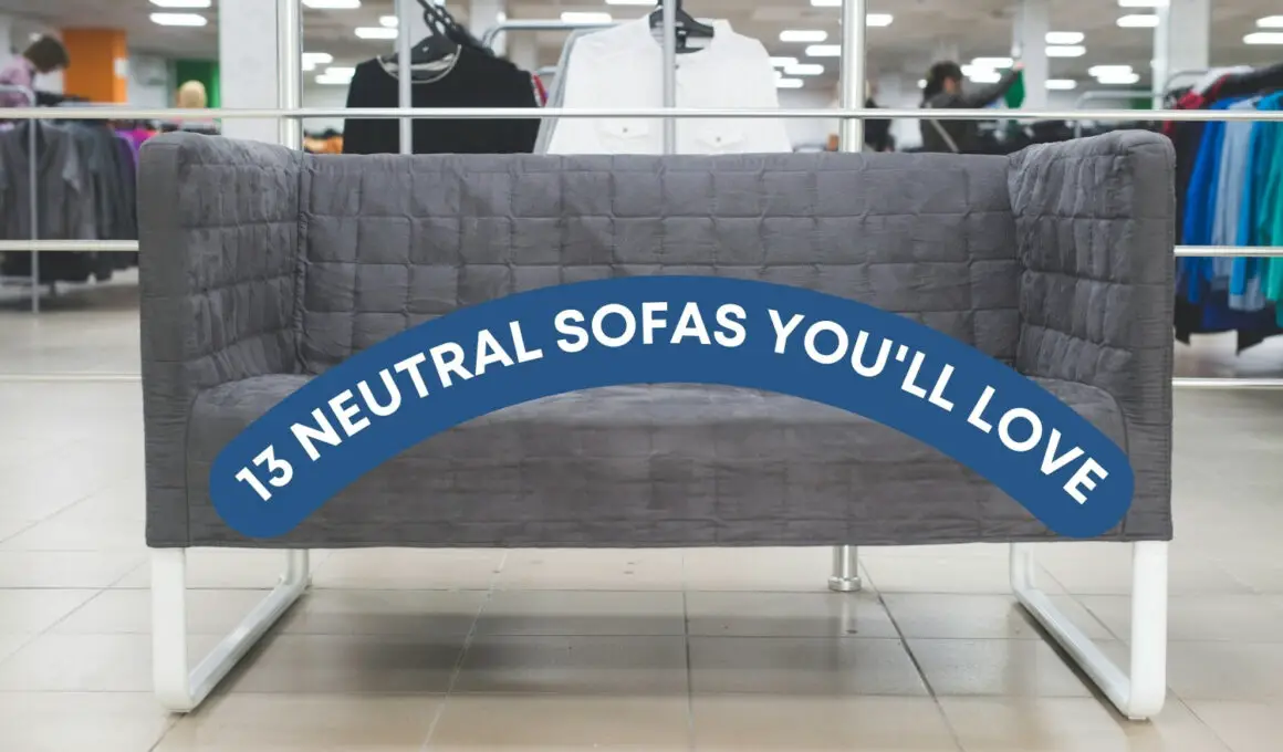 13 Neutral Sofas You'll Love