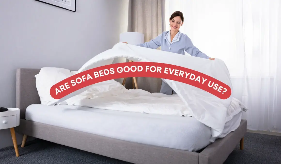 Are Sofa Beds Good For Everyday Use