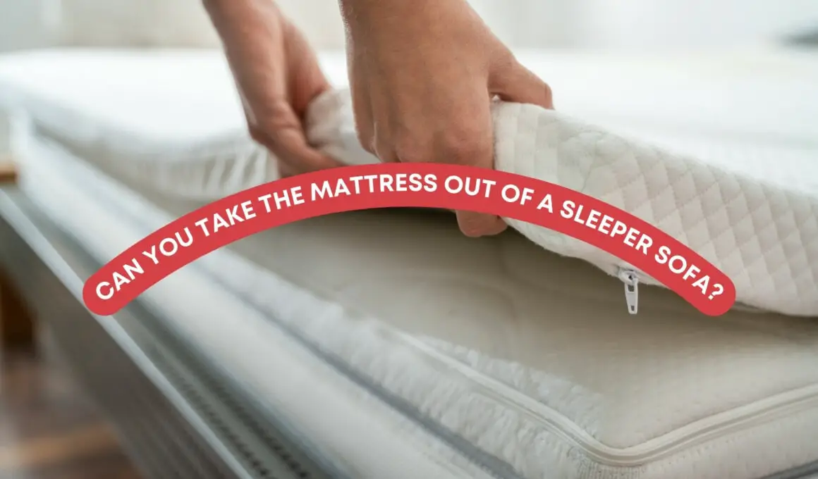Can You Take The Mattress Out Of A Sleeper Sofa