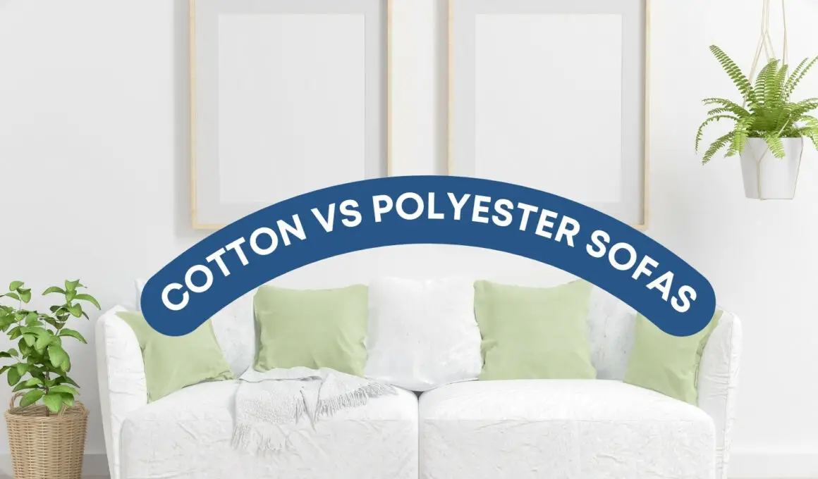 Cotton vs Polyester Sofas: Which One is Better?