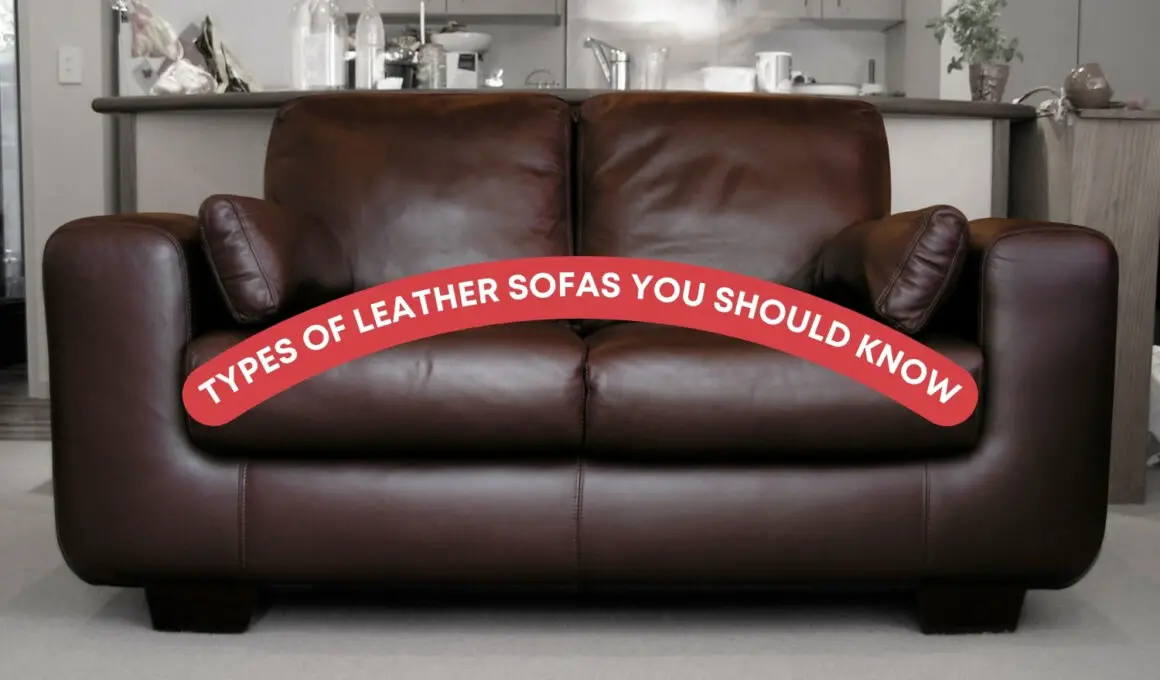 Types Of Leather Sofas You Should Know