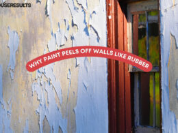 Why Paint Peels Off Walls Like Rubber