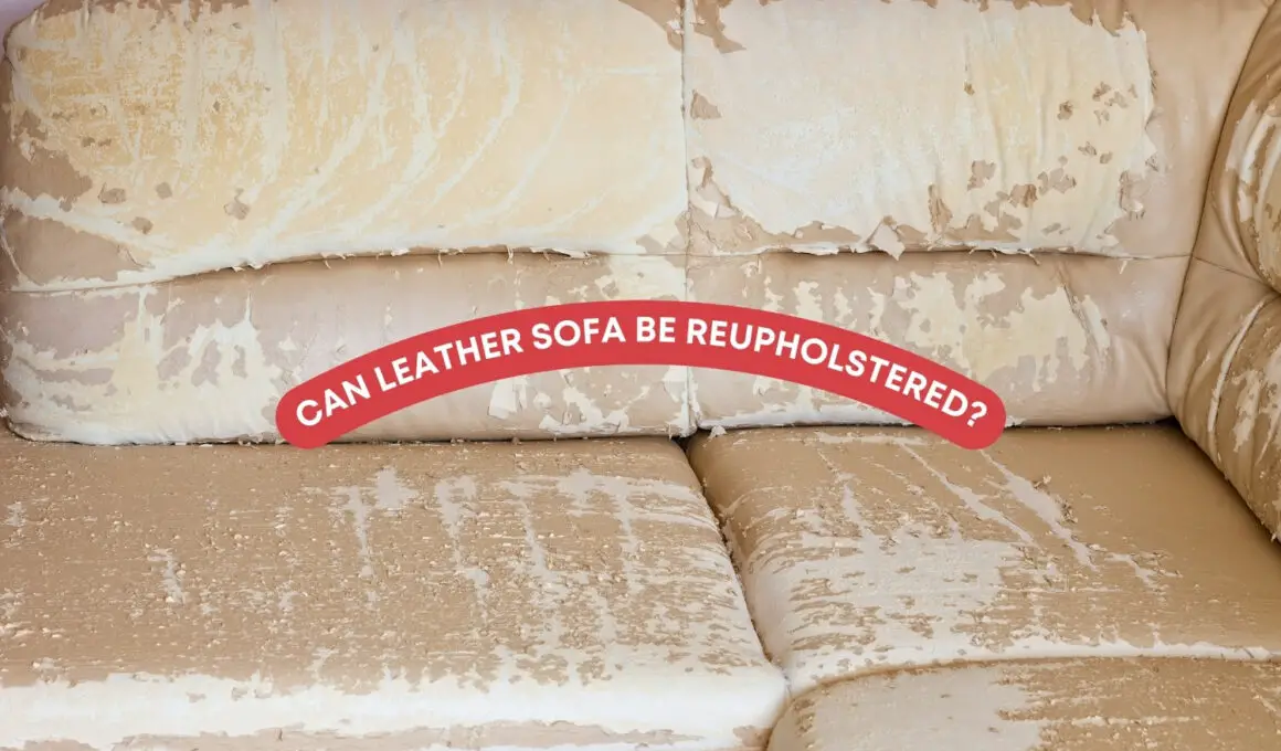 Can Leather Sofa Be Reupholstered (What to Know)