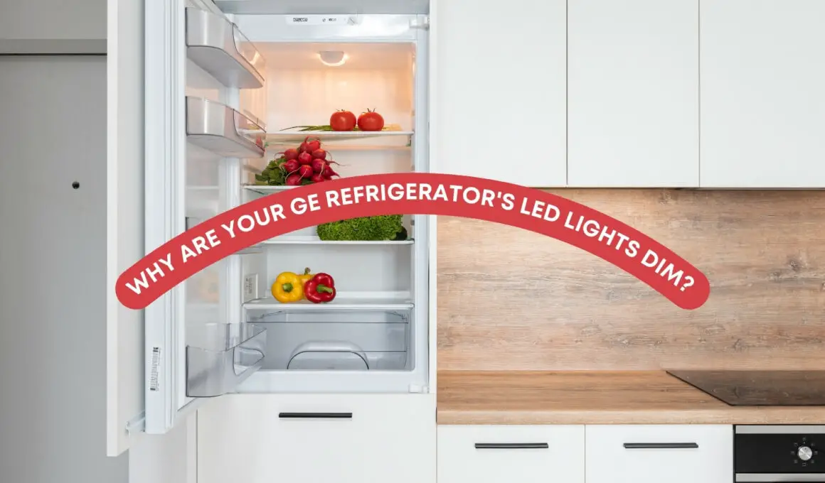 Why Are Your GE Refrigerator's LED Lights Dim