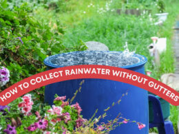 How To Collect Rainwater Without Gutters