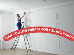 Can You Use Primer For Ceiling Paint?