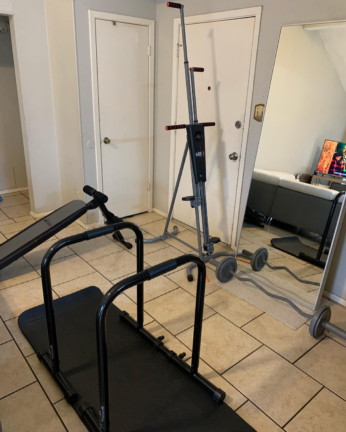 Simple Classic Home Gym