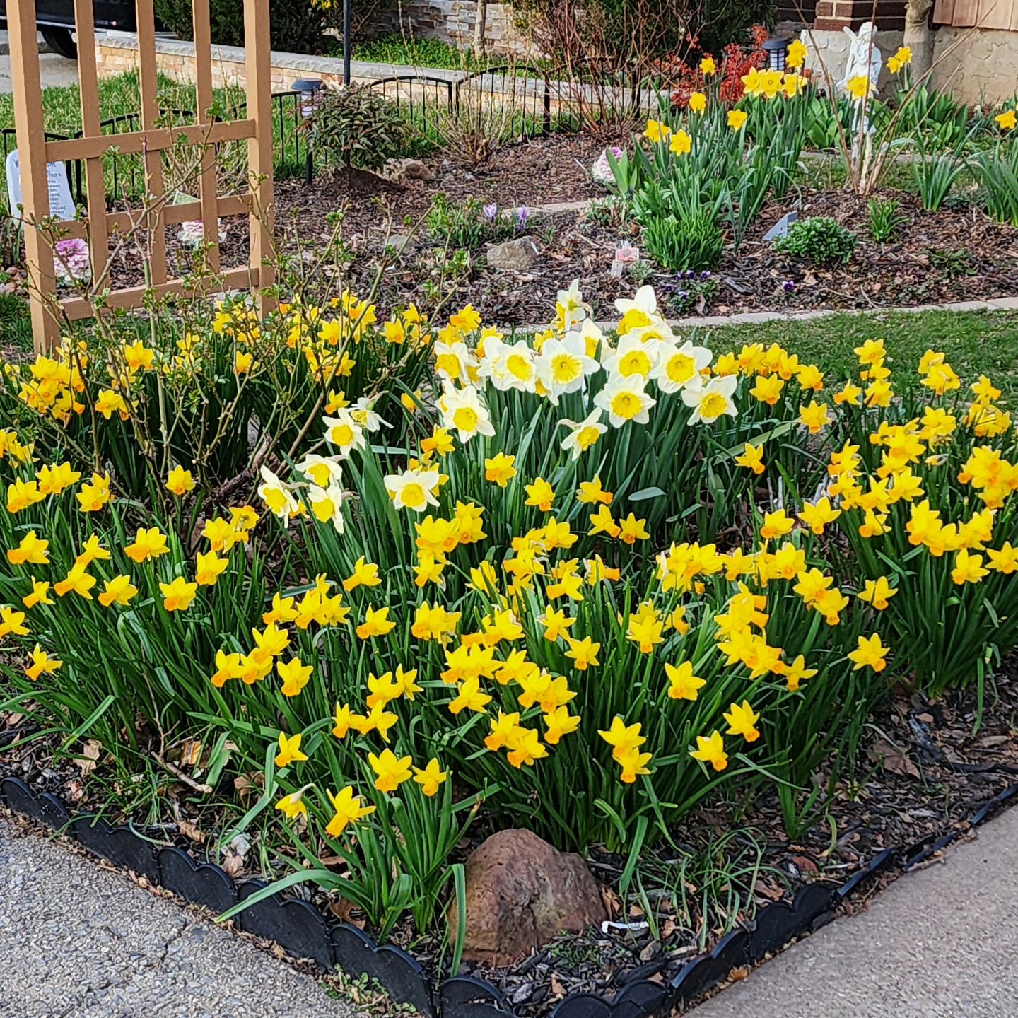 Bloomy Yellow Corner Garden