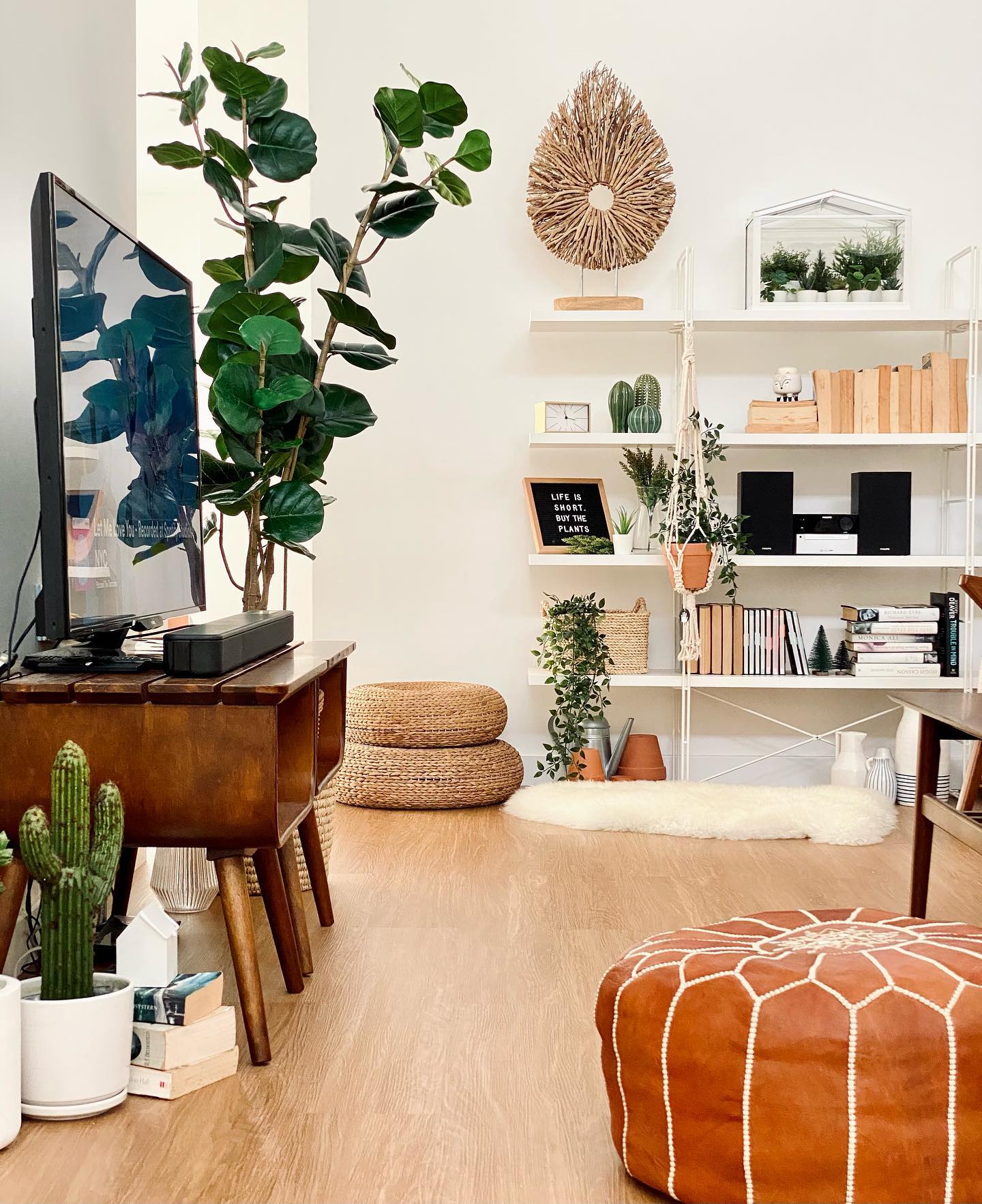 Cozy Living Room With Cactus