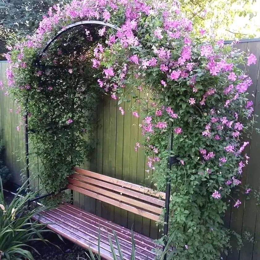 Exquisite Backyard Corner Garden