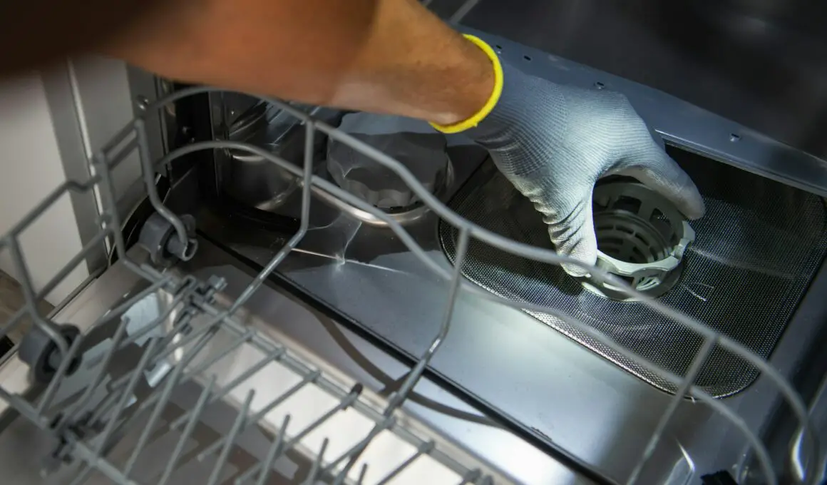How to Clean a Dishwasher, from Filter to Spray Arms