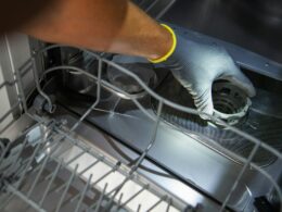 How to Clean a Dishwasher, from Filter to Spray Arms