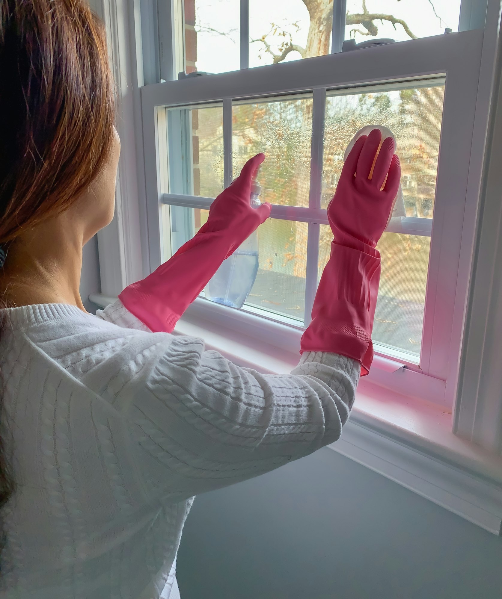 Maintaining Clean Windows